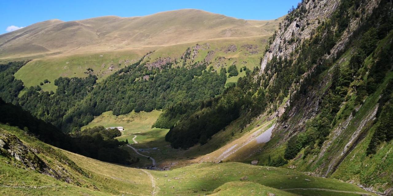 Le 41 Avenue Foch Hotel Bagneres-de-Luchon ภายนอก รูปภาพ